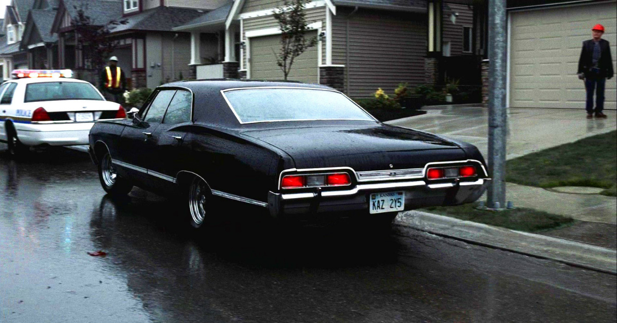 Impala in the Rain